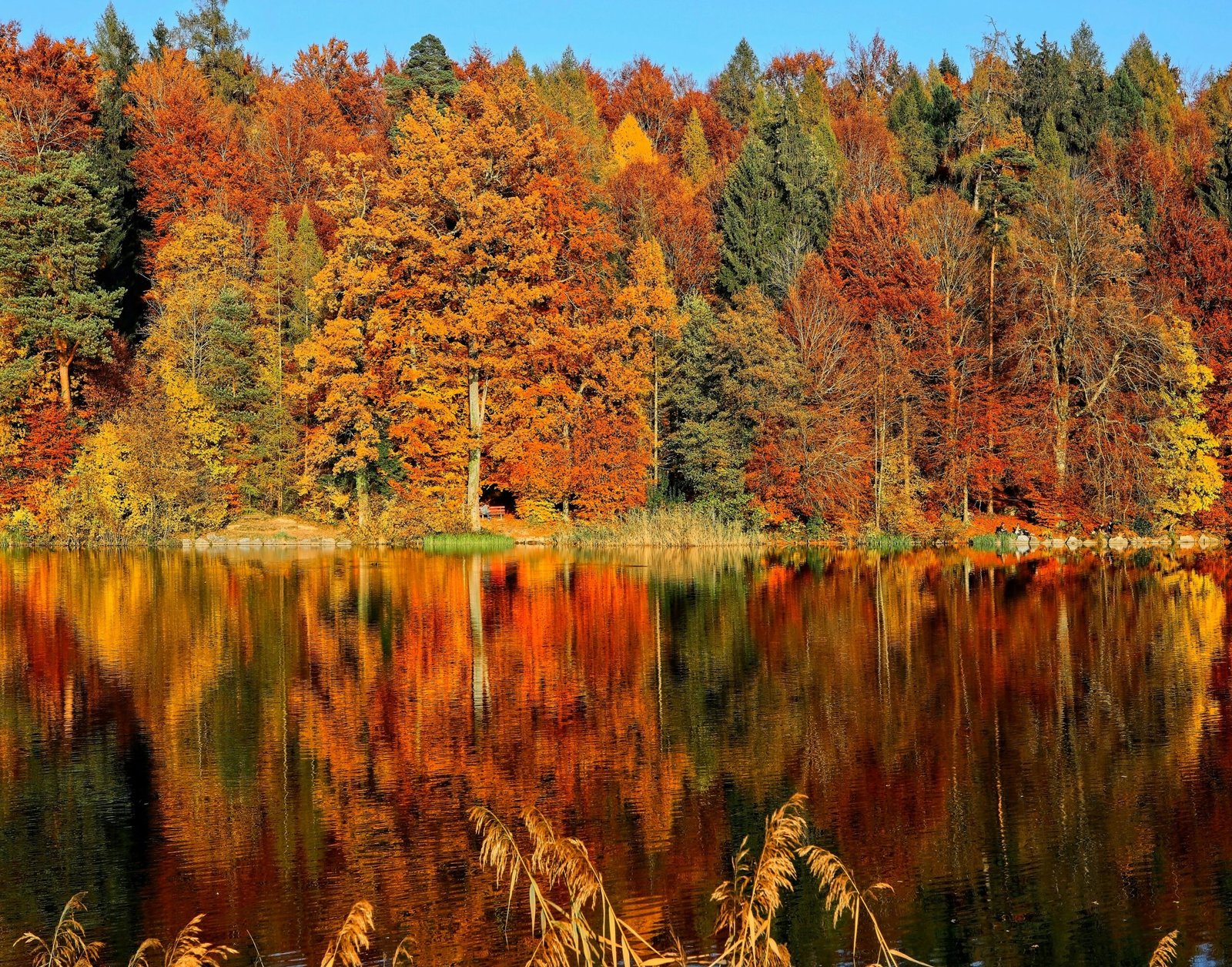 Fall foliage over a lake in Massachusetts